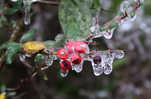 广西隆林隆或镇：冰凌景色让人迷