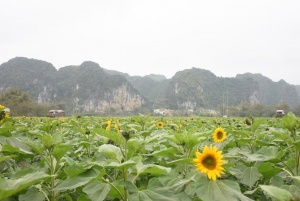 “三民”活动便利农村 特色改造助建“美丽南宁”