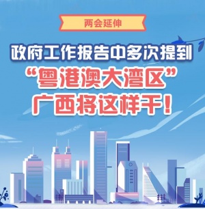 两会延伸|政府工作报告中多次提到“粤港澳大湾区”，广西将这样干！