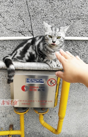 点击欣赏 点击欣赏