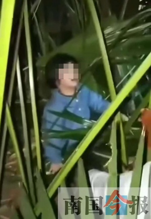 点击欣赏 点击欣赏