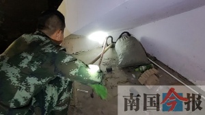 点击欣赏 点击欣赏
