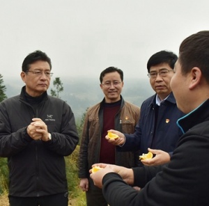 十三五时期共有多少农村人口脱贫_凤凰资讯_资讯_凤凰网