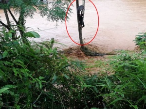 5 组图:澳门星际网址官网注册平台苍梧县受强降雨袭击发生洪涝灾害