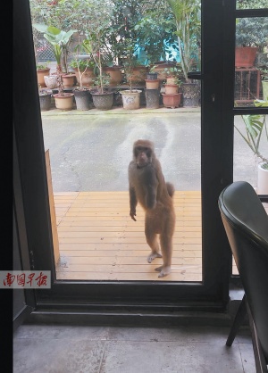 点击欣赏 点击欣赏