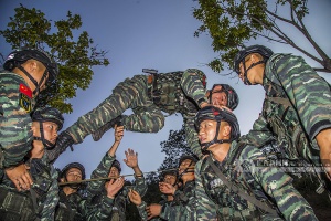 点击浏览 点击浏览