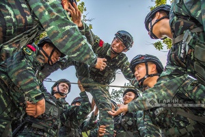 点击浏览 点击浏览