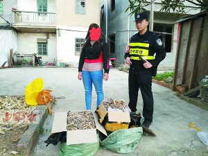 点击欣赏 点击欣赏