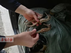 点击欣赏 点击欣赏