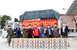 环江果农向一线抗“疫”人捐赠2500公斤沃柑（图）
