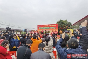 武鸣沃柑开园采摘！2021年采购价较往年更便宜了