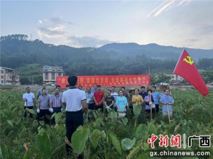 巴马那桃乡将党课从室内搬到田间开展体验式教学