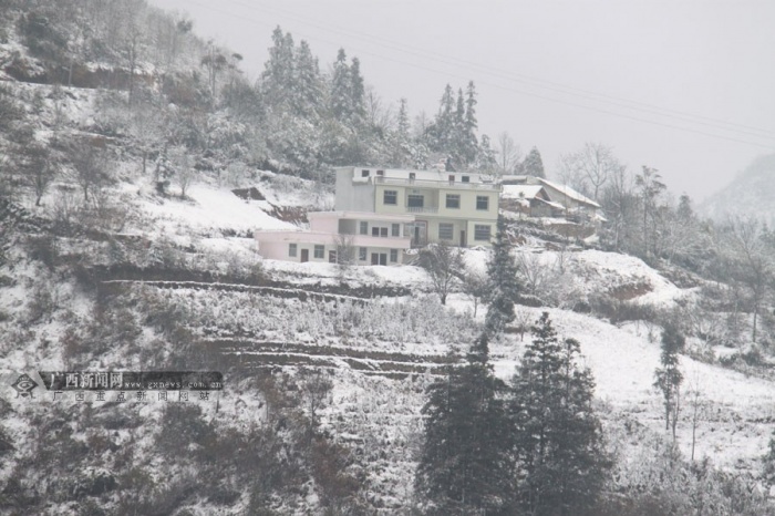 高清:隆林隆或乡迎2014年第一场雪(16/20)