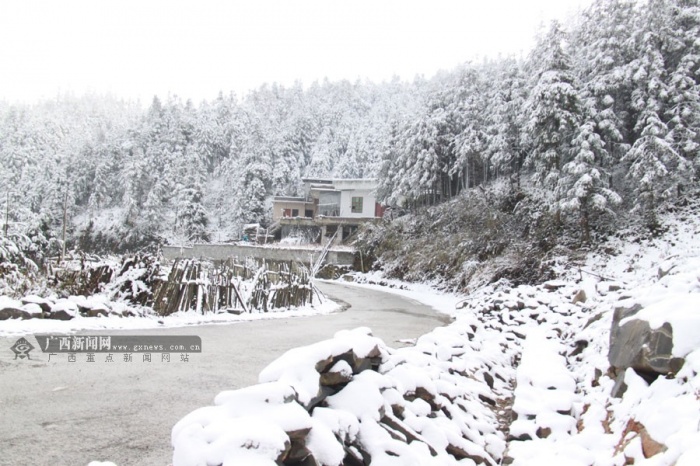 高清:隆林隆或乡迎2014年第一场雪_广西新闻网精彩图集新闻
