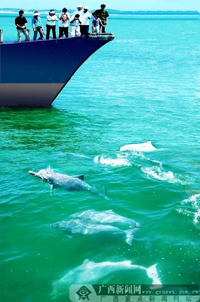 ���ݣ������������Ϲ��������