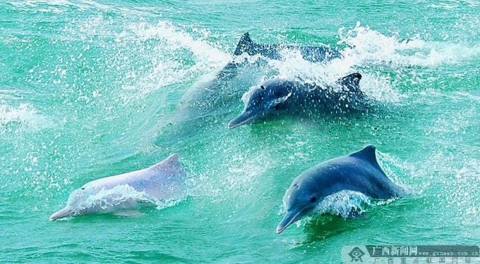 ���ݣ������������Ϲ��������