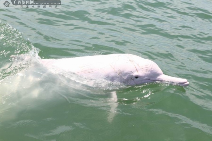 ���ݣ������������Ϲ��������