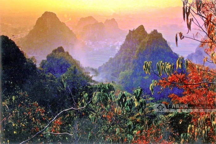 ��һȥ�Ķ���2014������������ͼ����-��Ȼ��̬