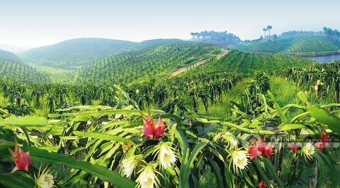 ��һȥ�Ķ���2014������������֮��ũҵ�۹�