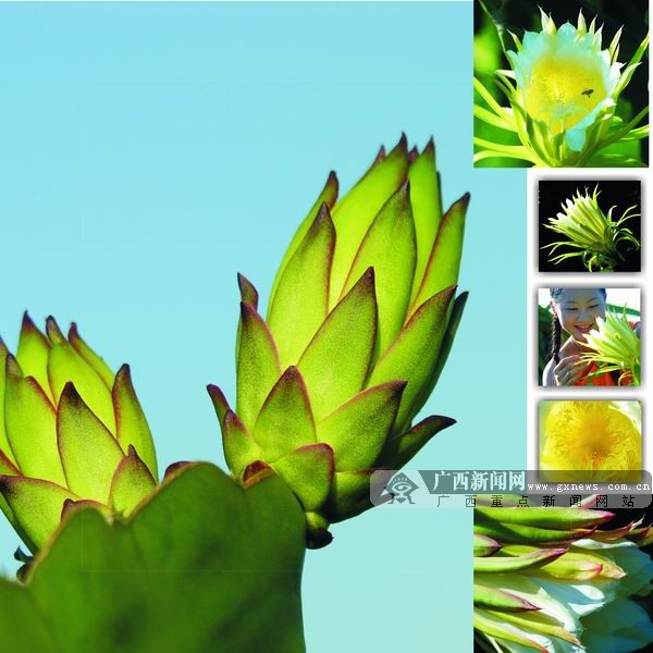 ��һȥ�Ķ���2014������������֮��ũҵ�۹�