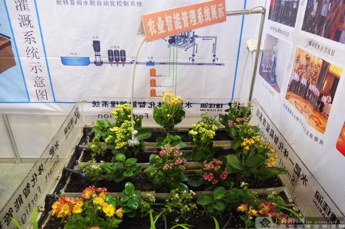 壺䶫Ƚչ  ռ䶨λȵ