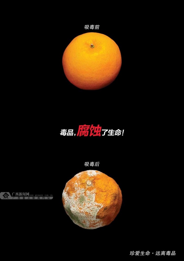 高清:广西禁毒公益宣传作品征集活动评审结果公布 (5/14)