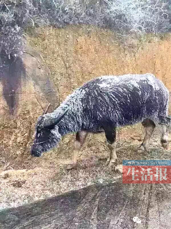 όѩˢȦ