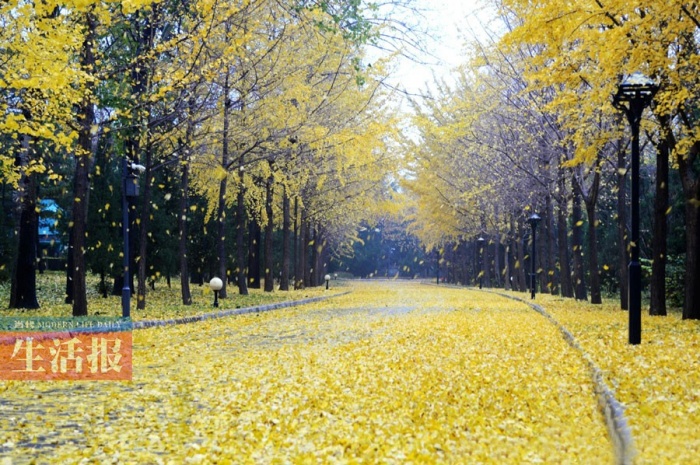 һػǒ @ЩҲ仨~(D)