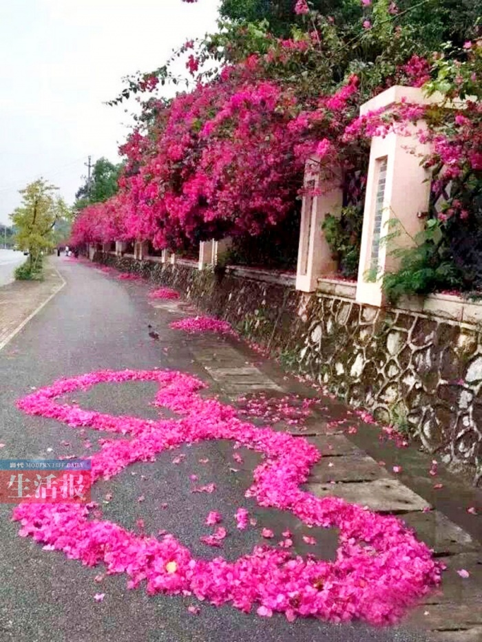 һػǒ @ЩҲ仨~(D)