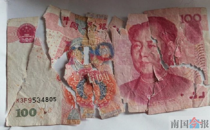 被撕碎的钞票.广西新闻网-南国今报记者赵本高 摄