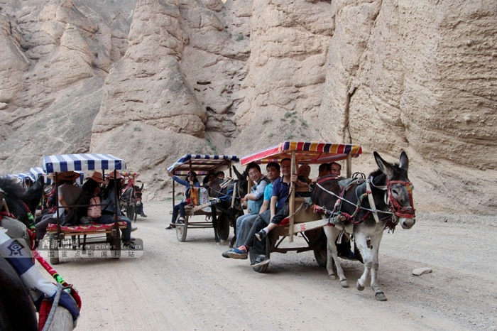 黄河石林幸福500户人家 记者坐驴车体验原始纯美 (2/11)