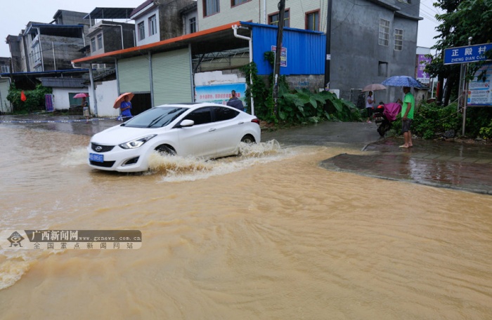 高清:柳城县境内普降大暴雨 部分乡镇农作物受淹-广西新闻图集