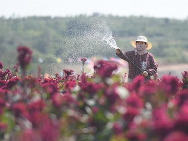 �ӱ����𣺻ĵر�������