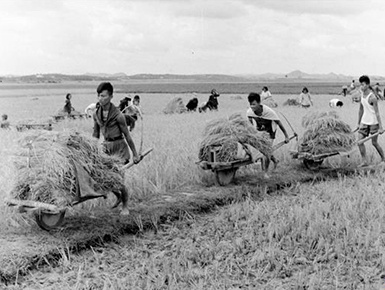 ��ϣ������Ұ��