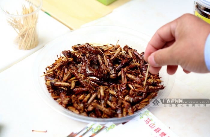 ٽѷƶ ɽɽƷʻ8(ͼ)