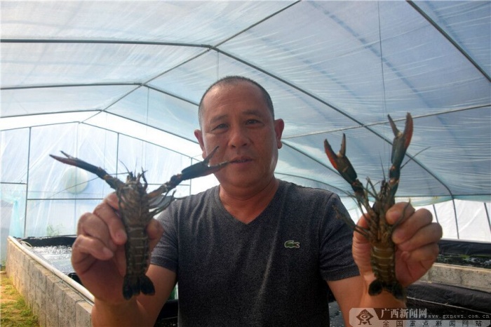 ����ҵ���¡���ʯɽ������Ϻ ����̬����