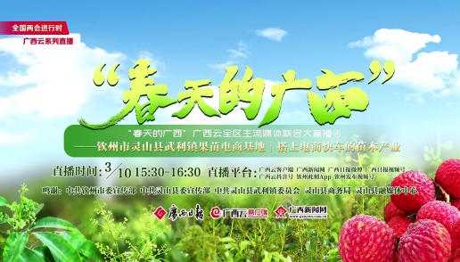 “春天的江南体育app下载”全区主流媒体联合大直播④|搭上电商快车!走进钦州市灵山县武利镇果苗电商基地