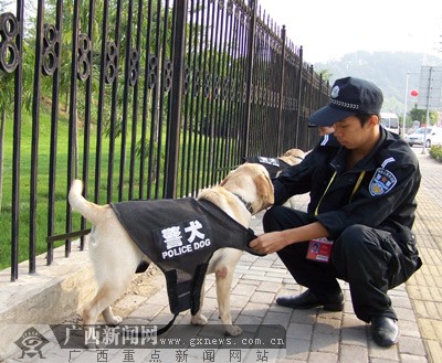 警犬首次"着装"参加"三会一节"安保工作(图)
