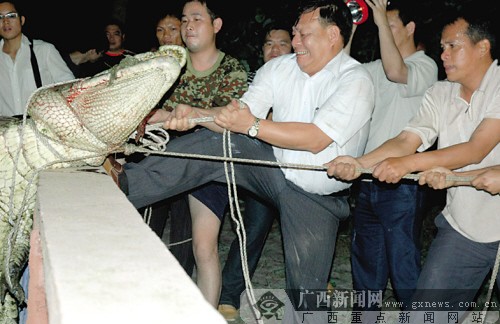 北海一男孩被鳄鱼吞噬续 狙击手7枪击毙鳄鱼(图)