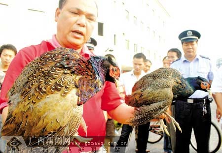 林业部门执法人员查获一批野生保护动物