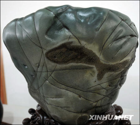 这是一块带有鱼形图的奇石(10月11日摄).新华社记者张爱林摄