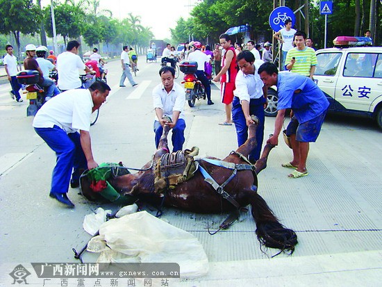 马踏车祸现场图片