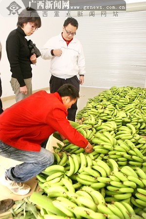 市民来高新粮油批发市场买香蕉