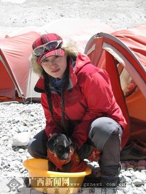 [登峰报道]罗丽莉珠峰结"新欢"藏狗跟蟒蛇争宠