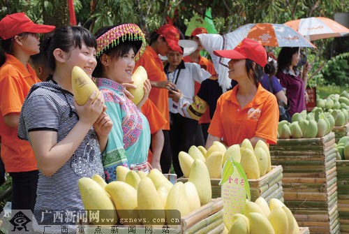 百色·田东芒果文化节开幕 芒果飘香行情看涨(图)