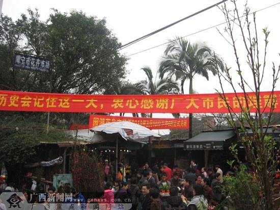 园湖路花鸟市场最后一瞥:商家清货市民怀旧