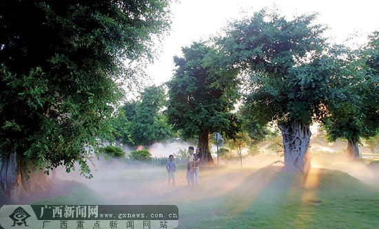 2011年"国家森林城市"……这是自治区第九次党代会以来南宁获得的各种