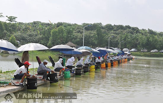 广西水牛城渔乐园标准化钓鱼池.广西新闻网通讯员毕朝斌 摄
