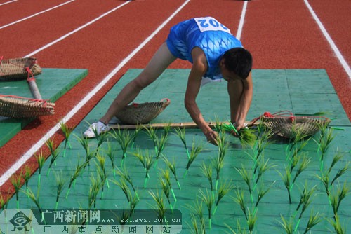 第七届农运会男子60米插秧比赛,运动员正在插秧.