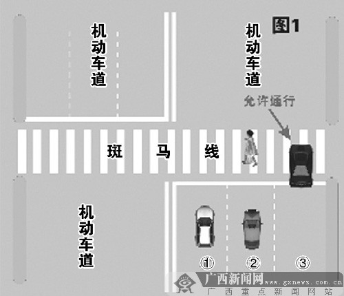 解读:行人,自行车和机动车等如何安全通过斑马线